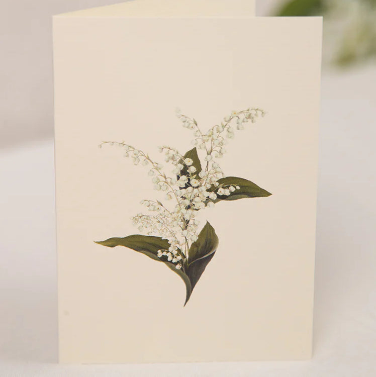 The Voyage Dubai - Summerill & Bishop Lily of The Valley Greeting Card 15x10cm

Designed in Notting Hill and made in the UK from recycled materials, these beautiful, printed greeting cards are a perfect way to send a message to someone you love.